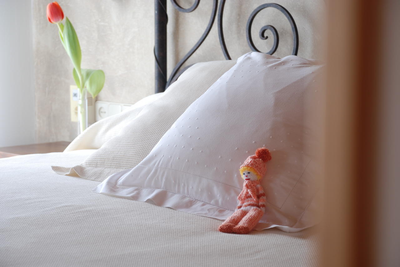 Hotel Hospederia El Arco Villavieja del Lozoya Pokoj fotografie